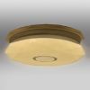 Diamond LED Plafond 313492 24W 3000K-6500K paveikslėlis