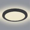 Plafond 12379-24B LED 24W D30 juodas PL1 paveikslėlis