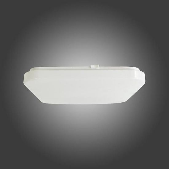 Plafond Led Ek75314 43cm 24w paveikslėlis