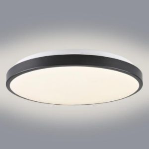 Paveikslėlis Plafond Kern 314925 Black 24W 4000K PL1