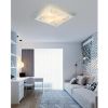 Plafond 48310-3F KW P420 paveikslėlis