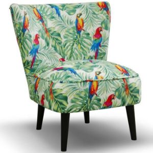 Paveikslėlis Will Parrot Fairy Fair Armchair 56