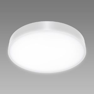 Paveikslėlis TOTEM LED C 48W NW WHITE 04095 PL1 lempa