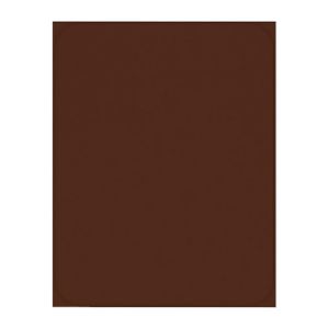 Indaplovės Katrin 45PO fasadas plytų raudonos spalvos paveikslėlis